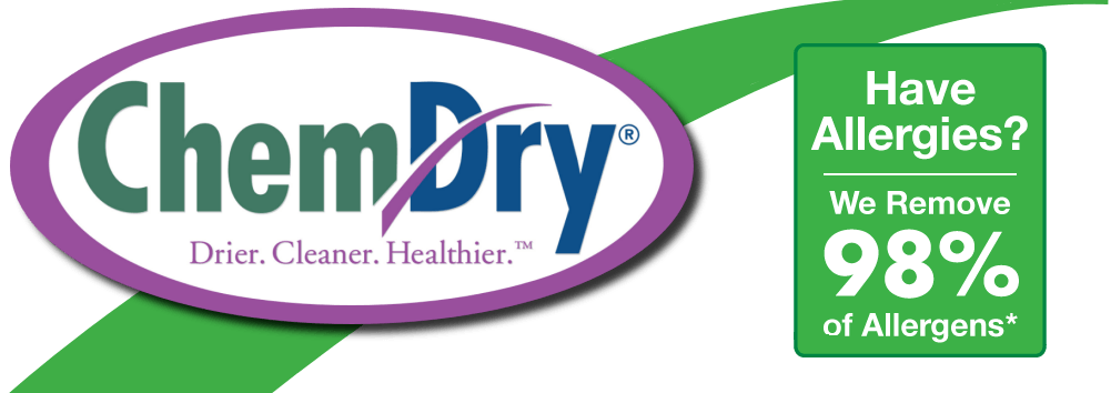 Cleaning Services Chem-Dry Nova
